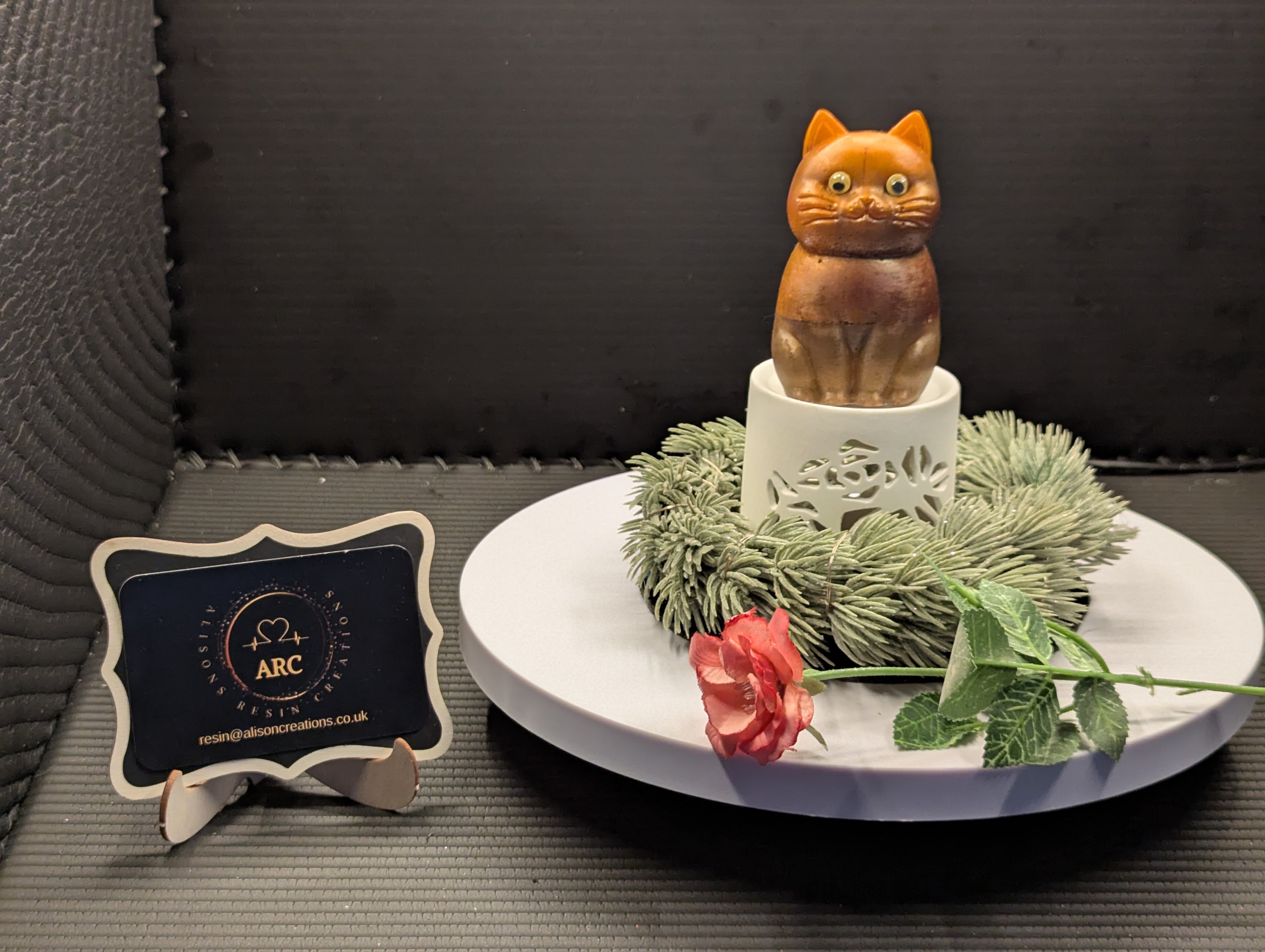 Cat - Orange